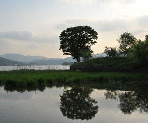 a river scenery