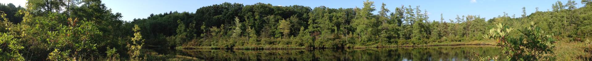 Cedar Bog Lake