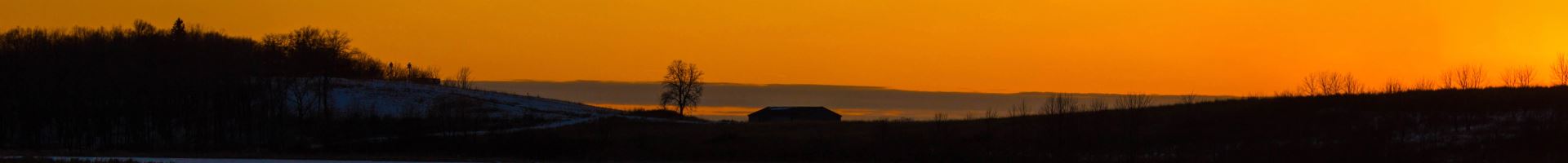 a sunset in the wild
